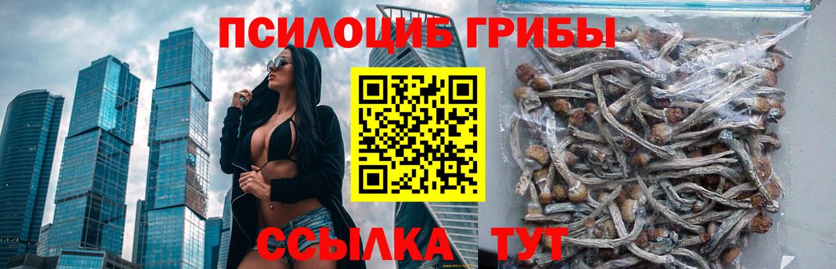 Псилоцибиновые грибы мицелий Ирбит