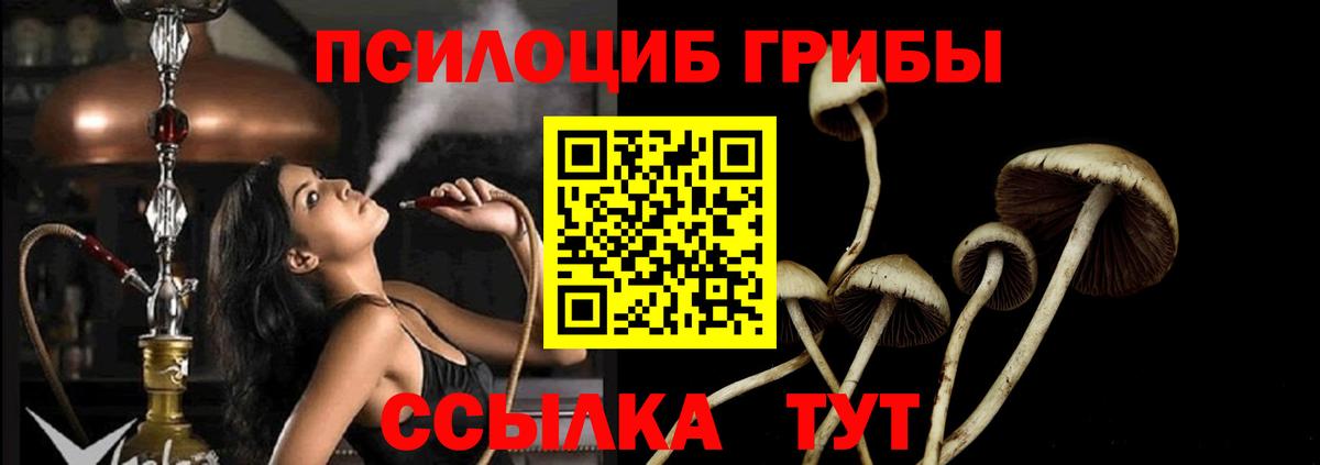 Ирбит  Псилоцибиновые грибы прущие грибы  Вход с VPN 