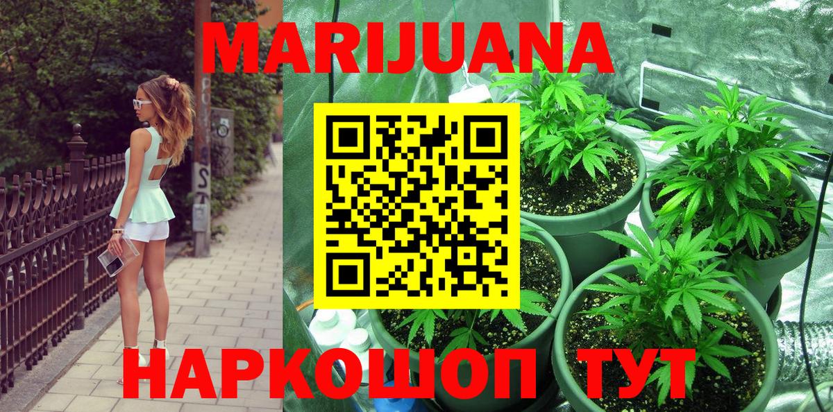 Бошки Шишки семена Ирбит